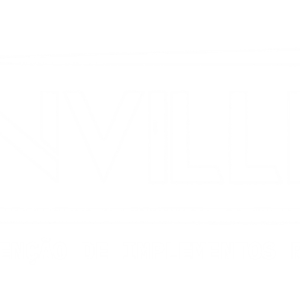 Fakinville